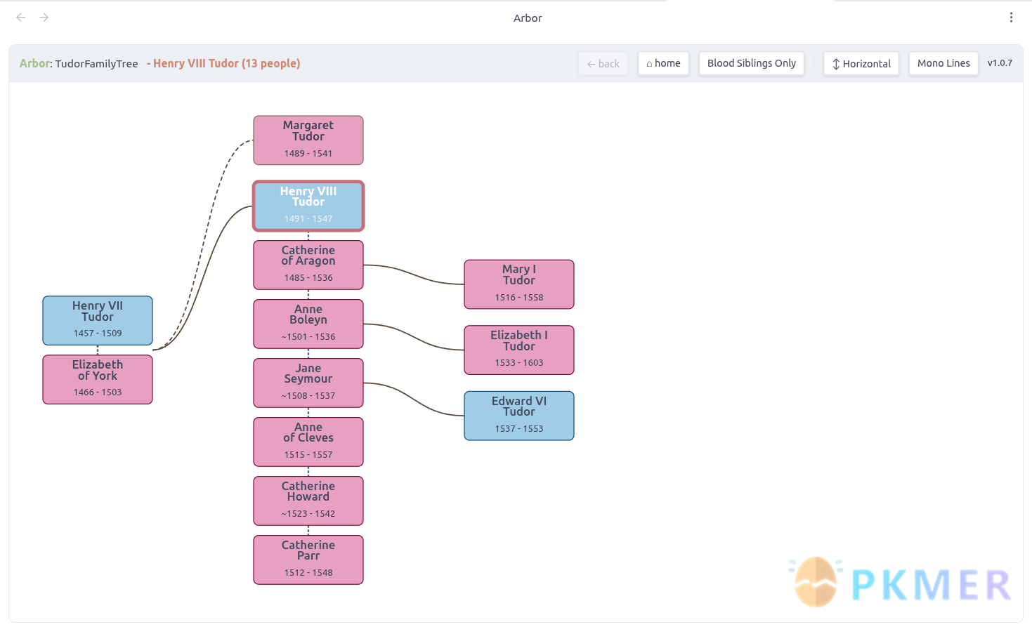 Obsidian 插件：Arbor Family Tree--