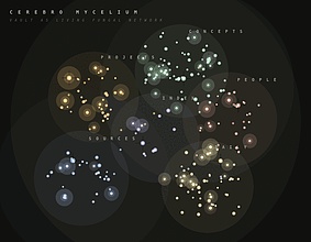 Obsidian 插件：Cerebro Mycelium