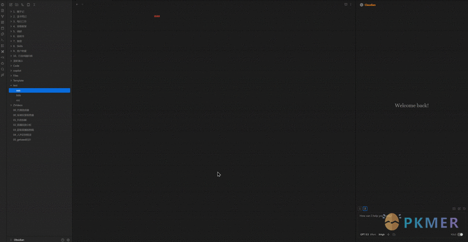 Obsidian 插件：Copy Selected Name--