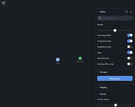 Obsidian 插件：Local Graph Tag Links
