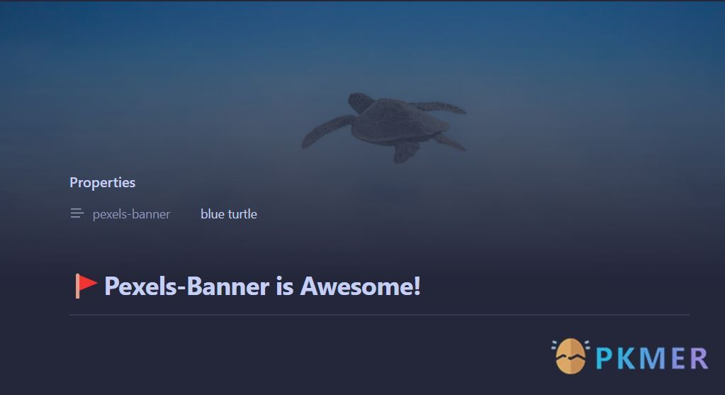 Pexels Banner