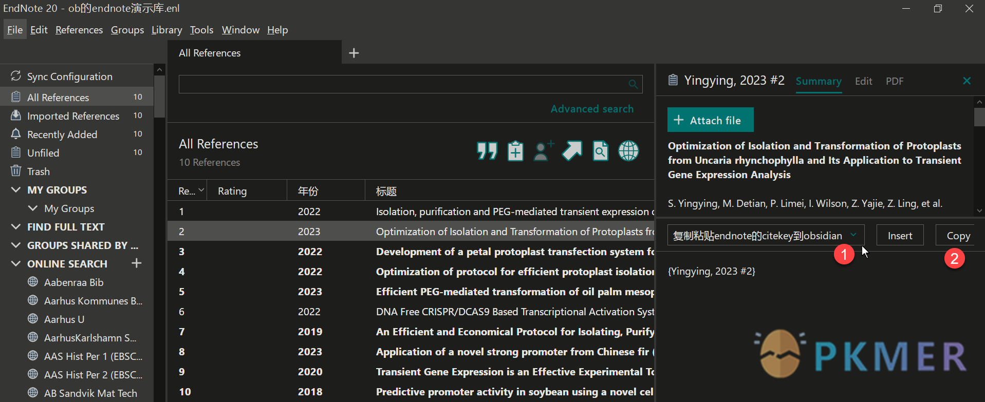 Obsidian 的 Endnote 工作流（先行讨论版）--设置 Endnote 展示 unformatted Citation 格式