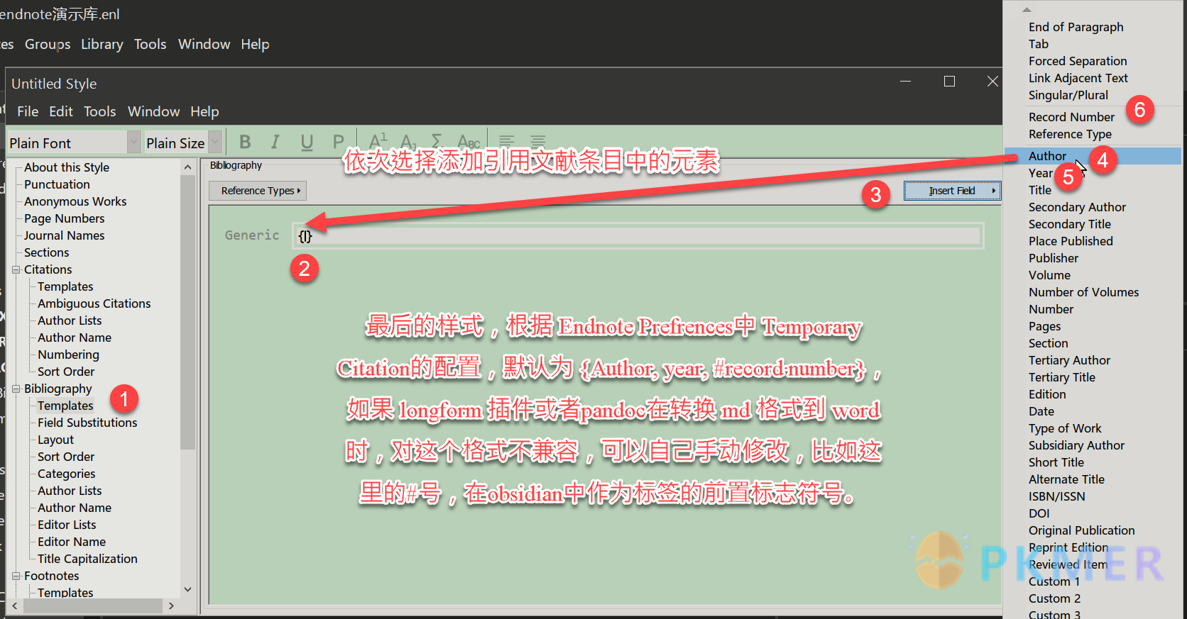 Obsidian 的 Endnote 工作流（先行讨论版）--设置 Endnote 展示 unformatted Citation 格式