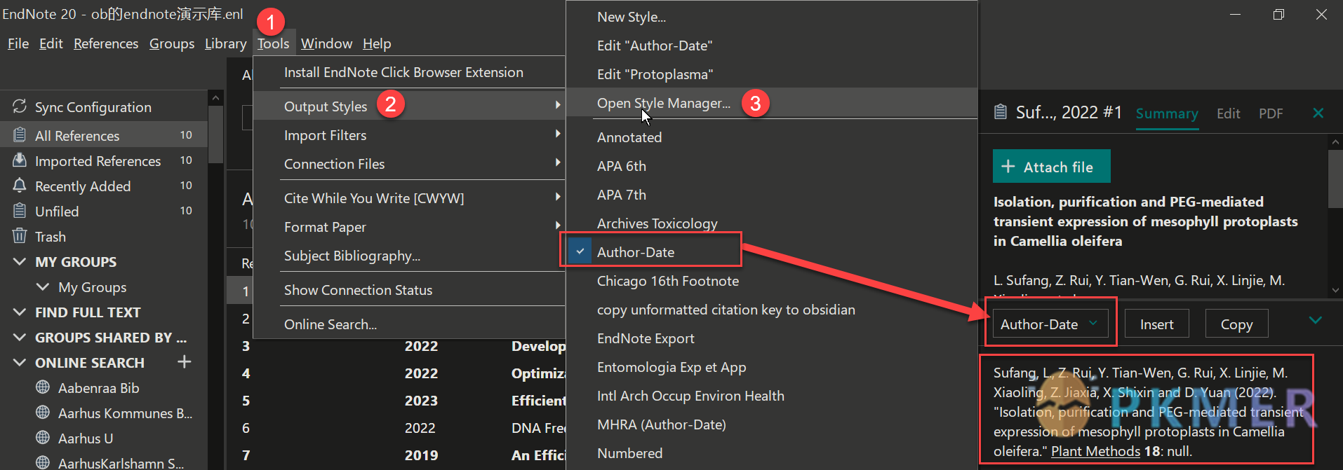 Obsidian 的 Endnote 工作流（先行讨论版）--设置 Endnote 展示 unformatted Citation 格式