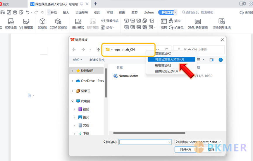 【引文 插件】在 WPS 中使用 Zotero Word 插件--2、解决方法二