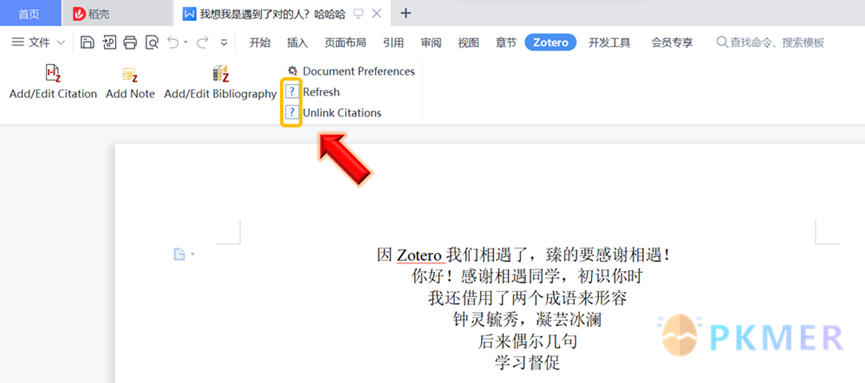 【引文 插件】在 WPS 中使用 Zotero Word 插件--