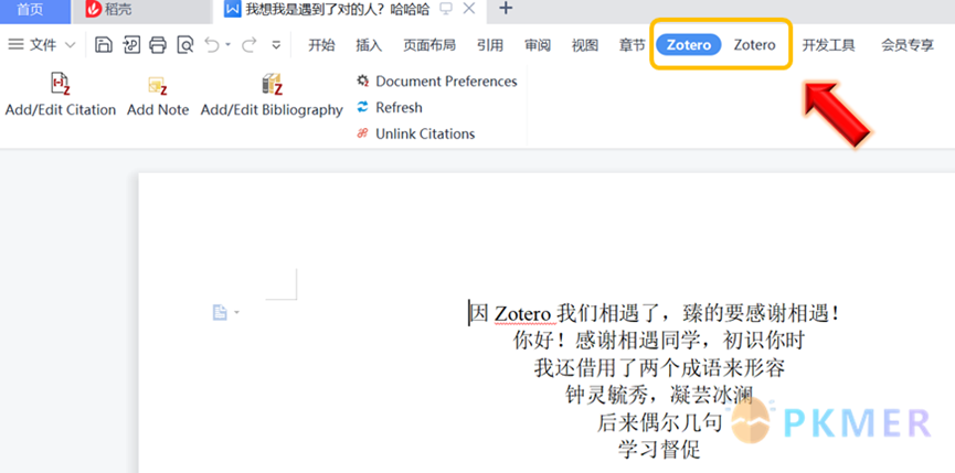 【引文 插件】在 WPS 中使用 Zotero Word 插件--1、直接安装美化后的图标文件