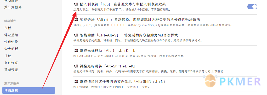 Obsidian 主题常见问题--ob 怎么用 tab 输入制表符而不是行首缩进呀？(by 熊猫)