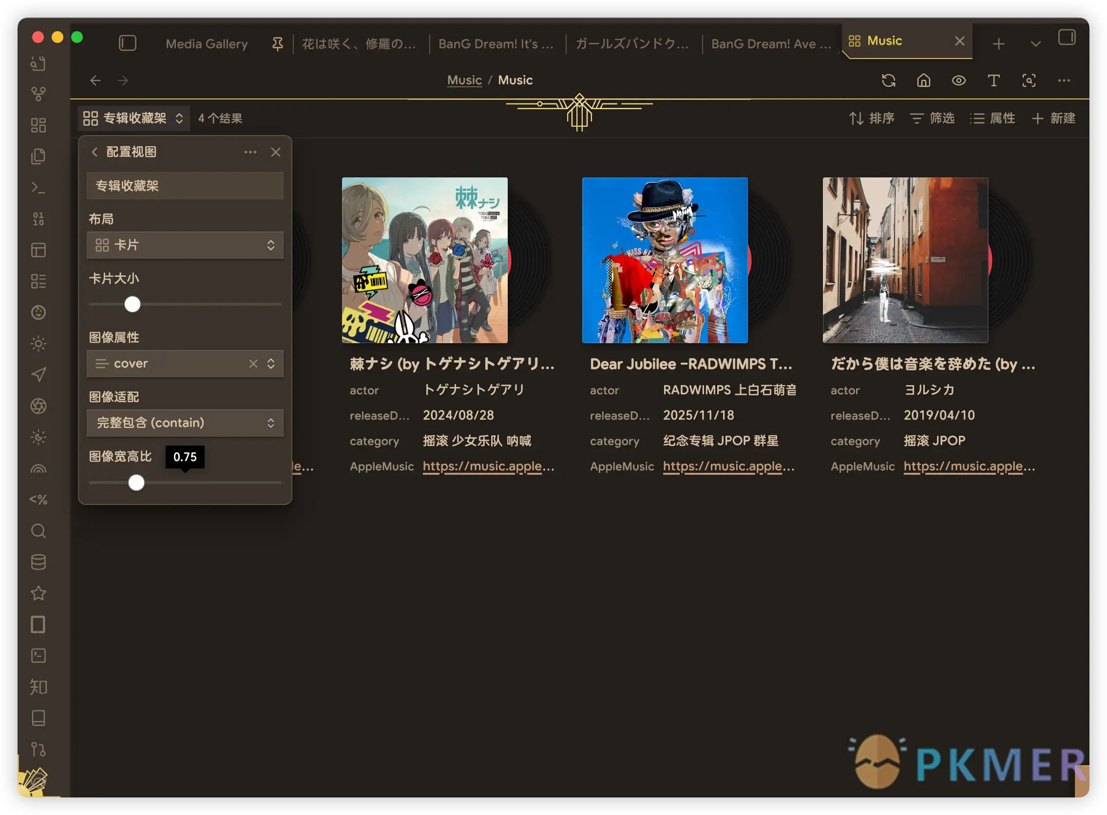 基于Bases的黑胶唱片架